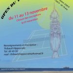open-poindimie-2016
