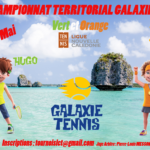 affiche galaxie territorial
